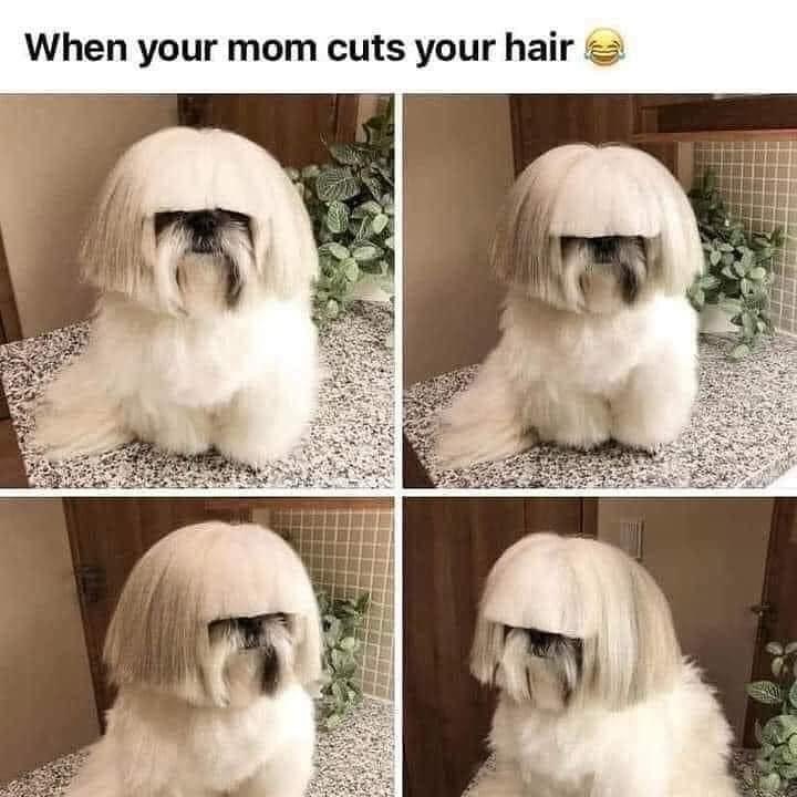 When your mom cuts your hair