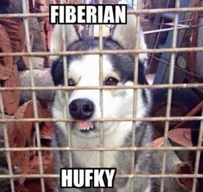 FIBERIAN HUFKY