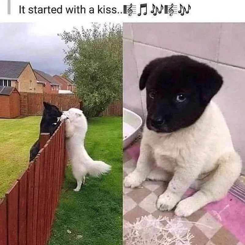 It started with a kiss.. ♫♪♪♪♪♪