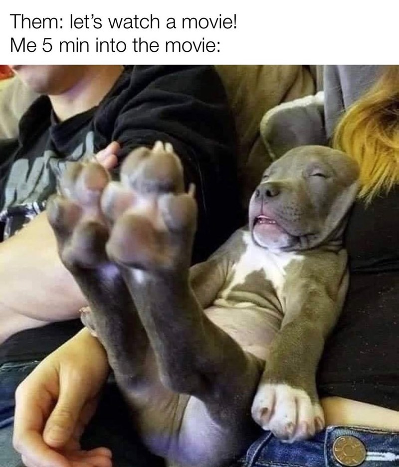 Them: let's watch a movie! Me 5 min into the movie: