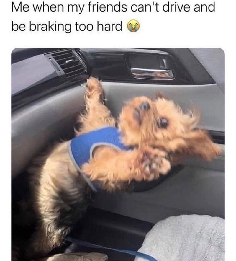 Me when my friends can't drive and be braking too hard