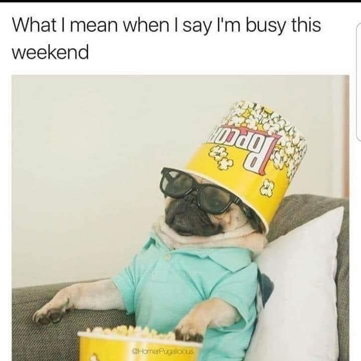 What I mean when I say I'm busy this weekend @HomerPugalcbus
