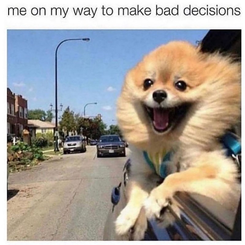 me on my way to make bad decisions