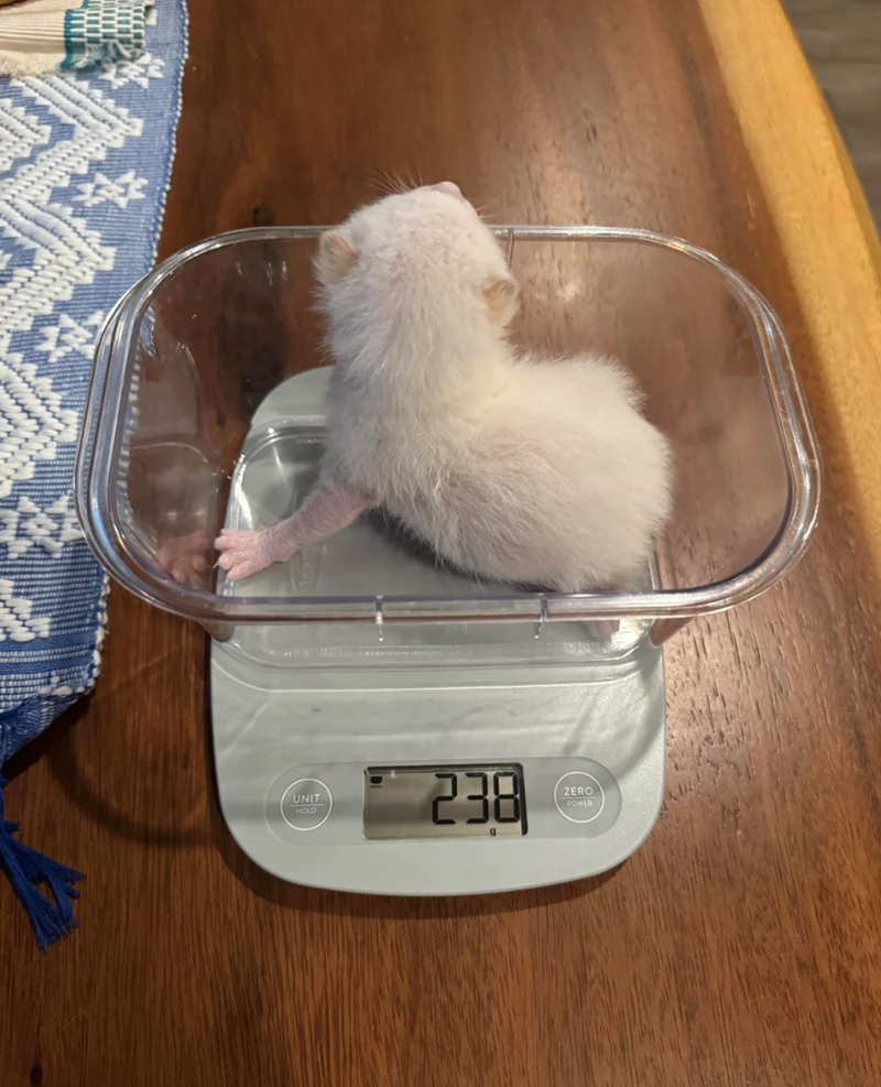 UNIT HOLD 238 ZERO POWER