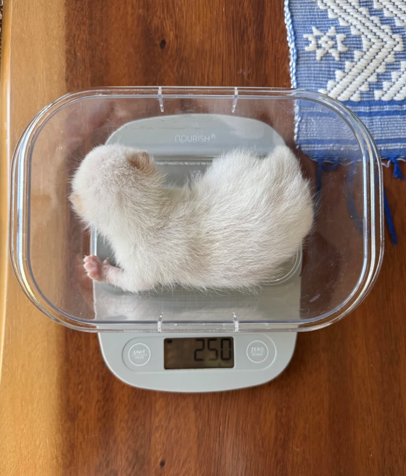 UNIT HOLD NOURISH 250 ZERO POWER
