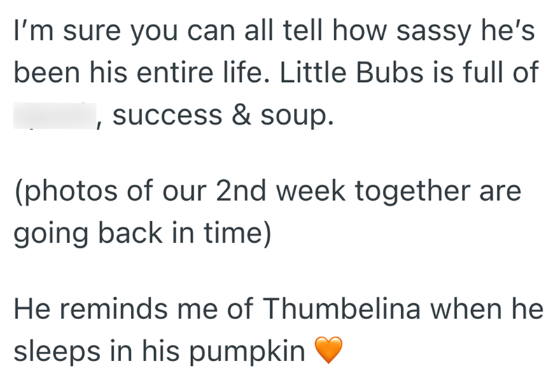 I'm sure you can all tell how sassy he's been his entire life. Little Bubs is full of success & soup. (photos of our 2nd week together are going back in time) He reminds me of Thumbelina when he sleeps in his pumpkin