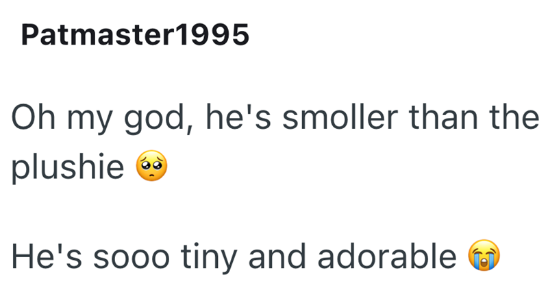 Patmaster1995 Oh my god, he's smoller than the plushie He's sooo tiny and adorable