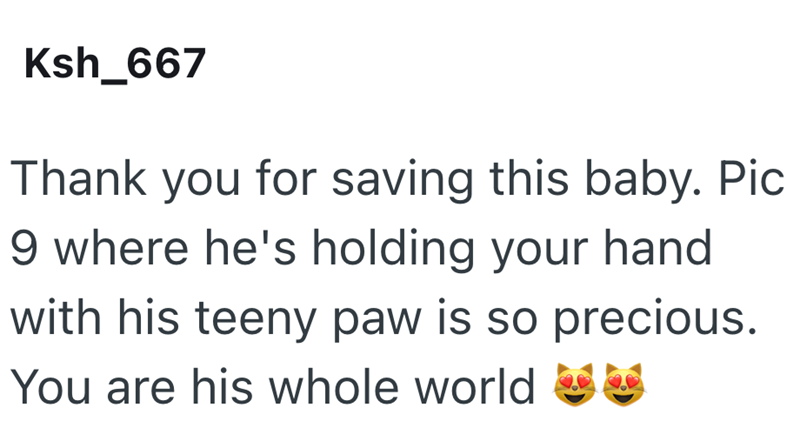 Ksh_667 Thank you for saving this baby. Pic 9 where he's holding your hand with his teeny paw is so precious. You are his whole world
