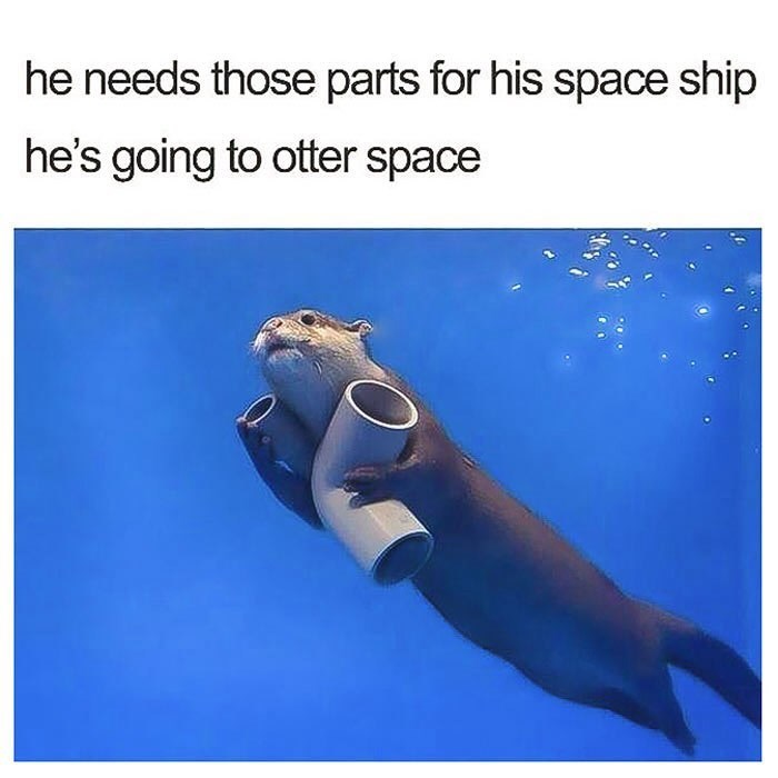he needs those parts for his space ship he's going to otter space