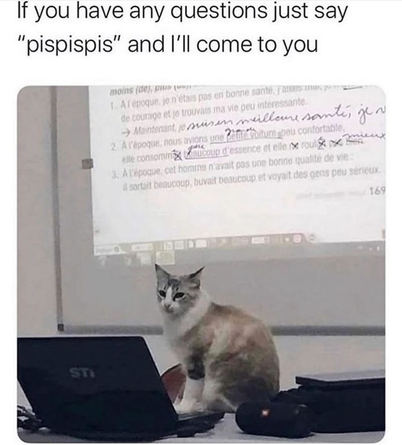 If you have any questions just say "pispispis" and I'll come to you moins (de), pu 1. Al'époque je n'étais pas en bonne santé, Fallars m de courage et je trouvais ma vie peu interessante. →Maintenant, je suis en meilleure santé, je n 2. A l'époque, nous avions une efter voiture peu confortable, elle consomma aucoup d'essence et elle x roul 3. A l'époque, cet homme n'avait pas une borine qualité de vie: il sortait beaucoup, buvait beaucoup et voyait des gens peu sérieux STI 169