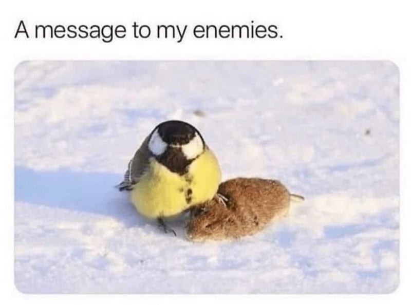 A message to my enemies.