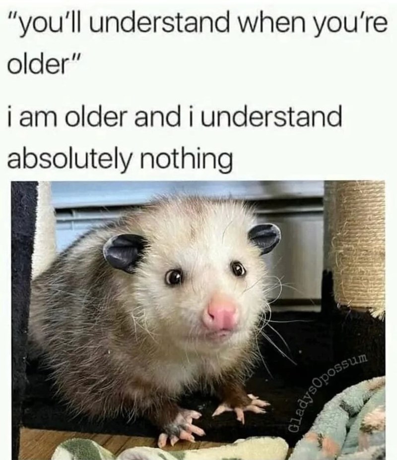 "you'll understand when you're older" i am older and i understand absolutely nothing LadysOpossum