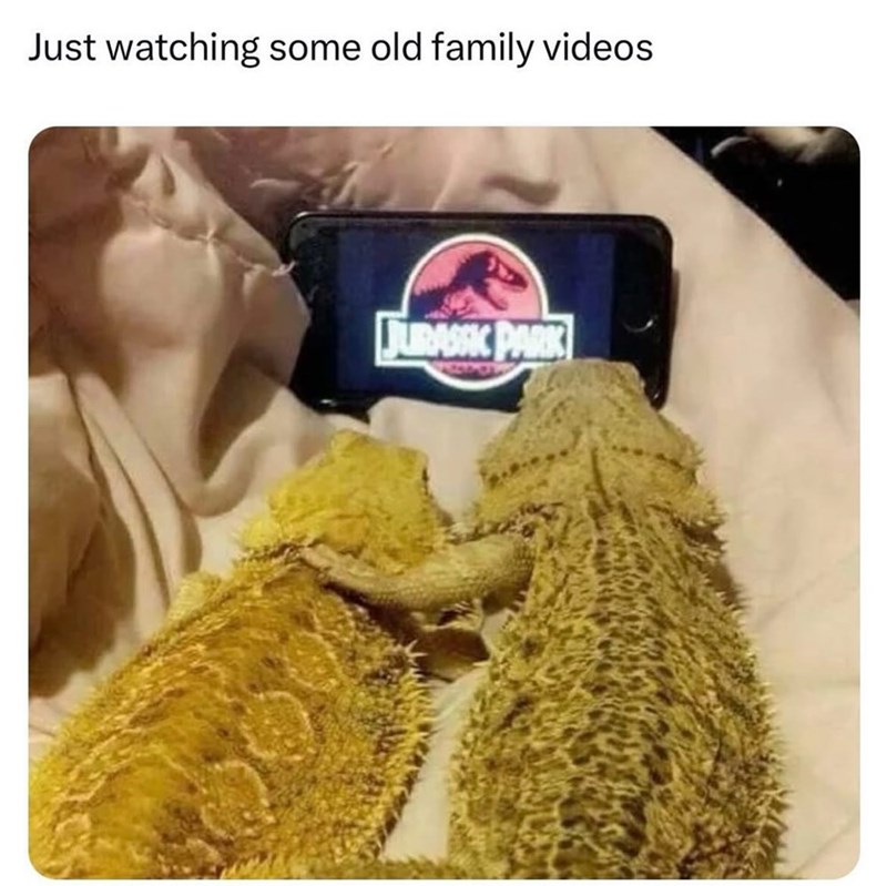 Just watching some old family videos JURASSIC PARK