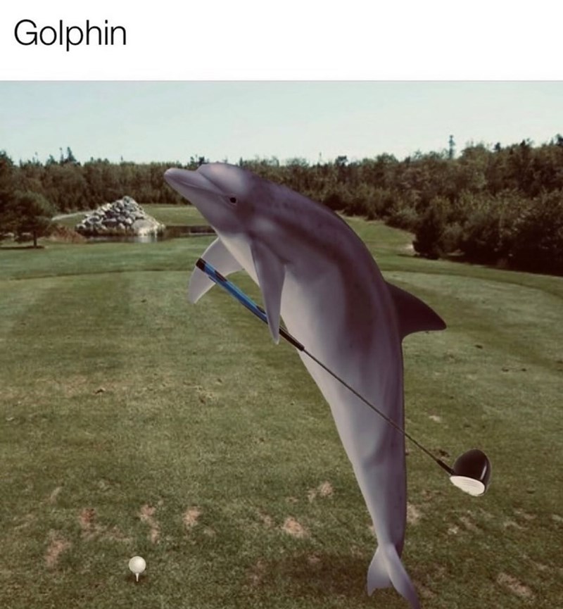 Golphin