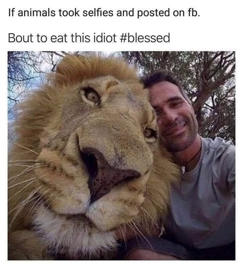 If animals took selfies and posted on fb. Bout to eat this idiot #blessed