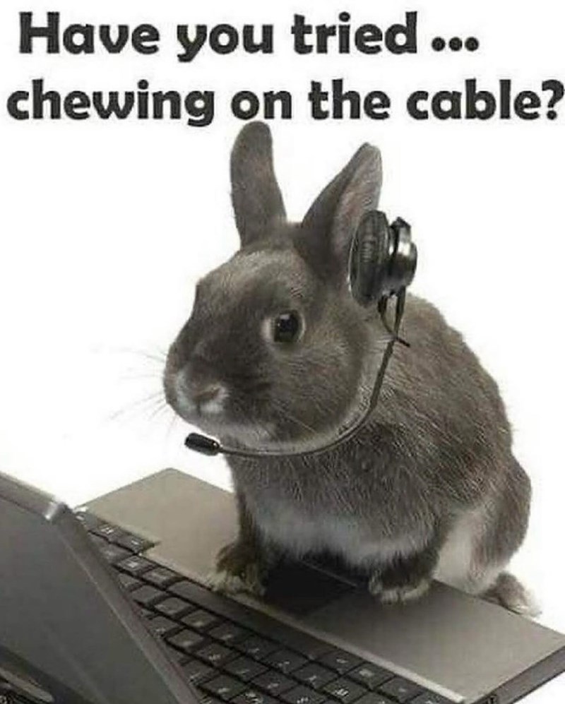 Have you tried... chewing on the cable?