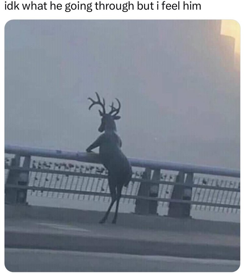 idk what he going through but i feel him