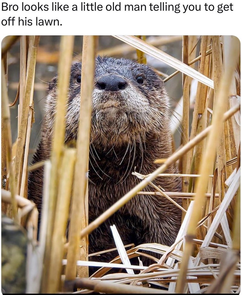 Bro looks like a little old man telling you to get off his lawn.