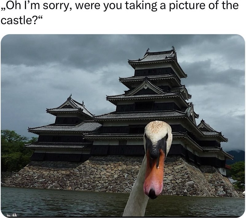 ,,Oh I'm sorry, were you taking a picture of the castle?"