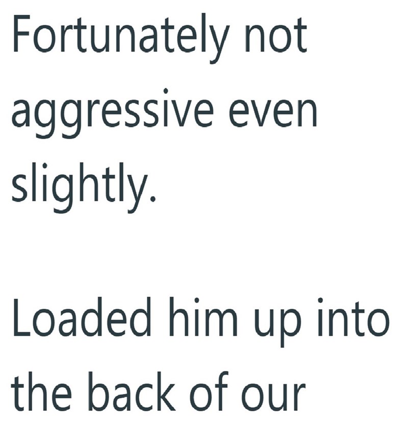 Fortunately not aggressive even slightly. Loaded him up into the back of our