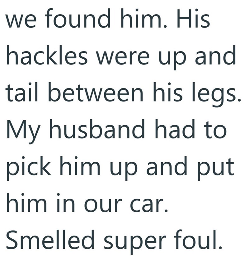 we found him. His hackles were up and tail between his legs. My husband had to pick him up and put him in our car. Smelled super foul.