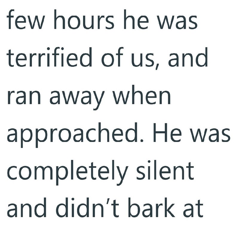 few hours he was terrified of us, and ran away when approached. He was completely silent and didn't bark at