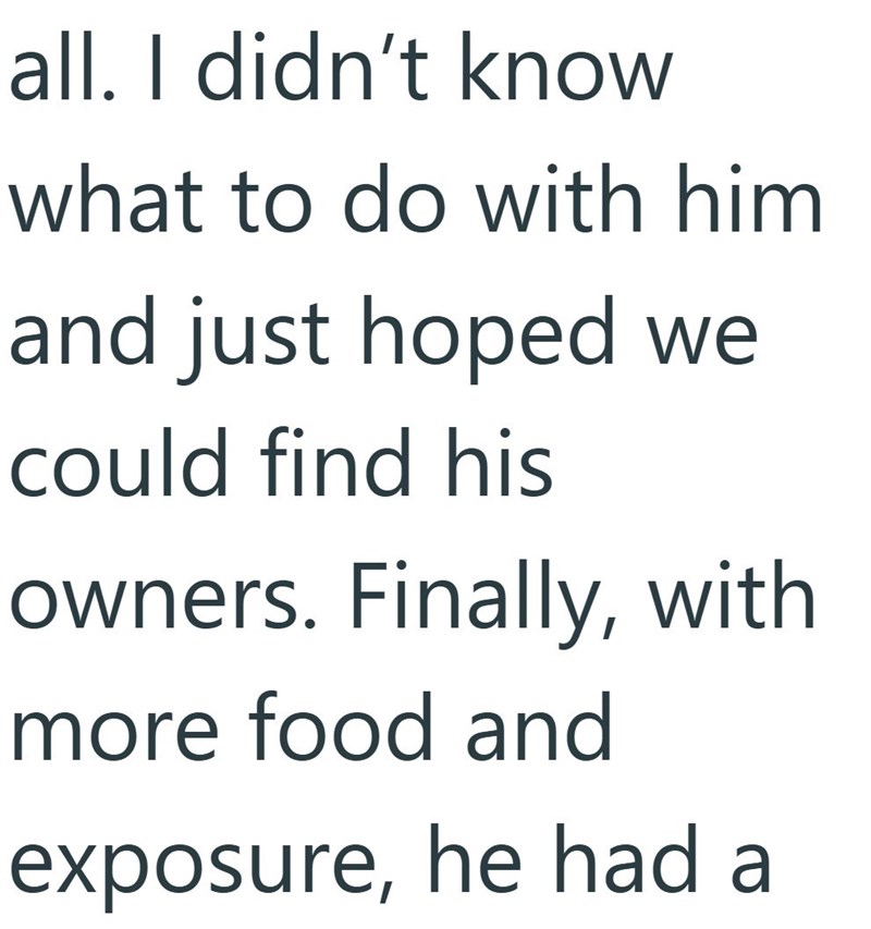 all. I didn't know what to do with him and just hoped we could find his owners. Finally, with more food and exposure, he had a