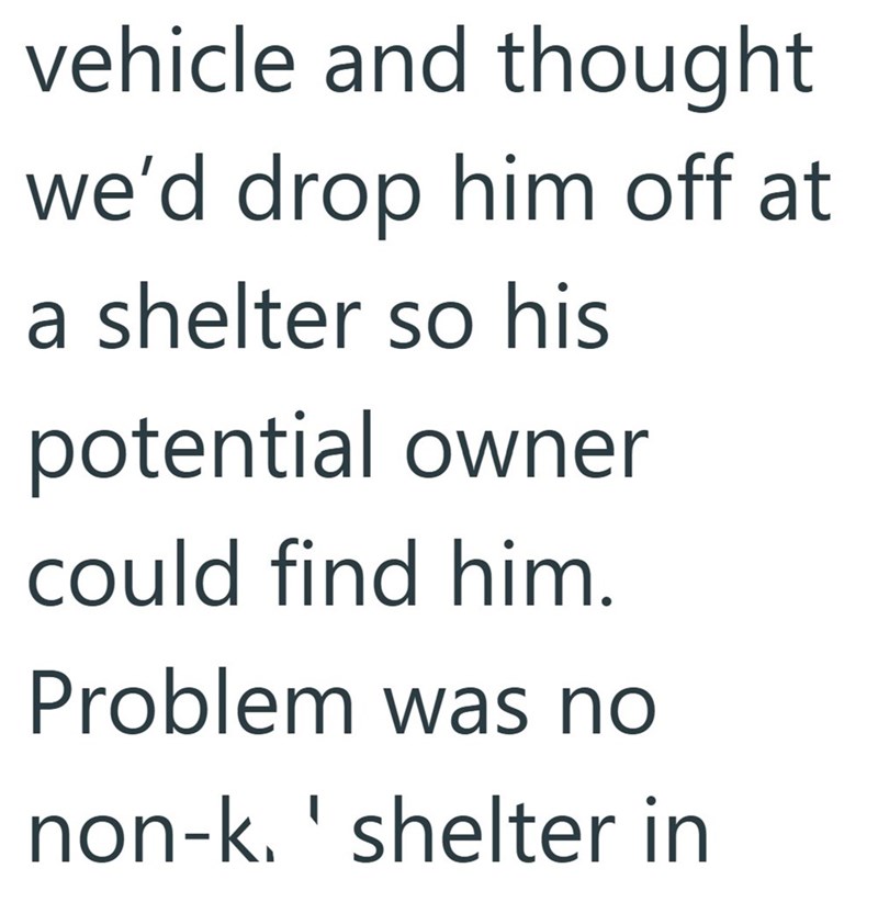 vehicle and thought we'd drop him off at a shelter so his potential owner could find him. Problem was no non-k. ' shelter in