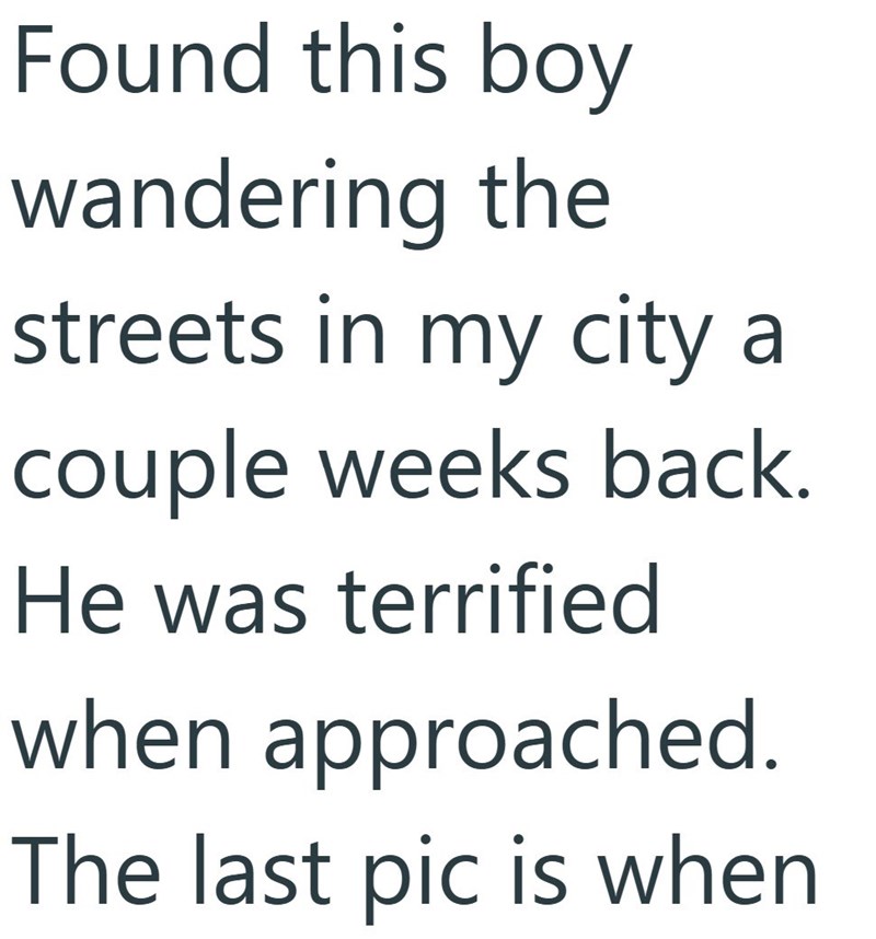 Found this boy wandering the streets in my city a couple weeks back. He was terrified when approached. The last pic is when