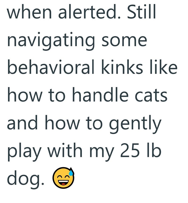 when alerted. Still navigating some behavioral kinks like how to handle cats and how to gently play with my 25 lb dog. ② D