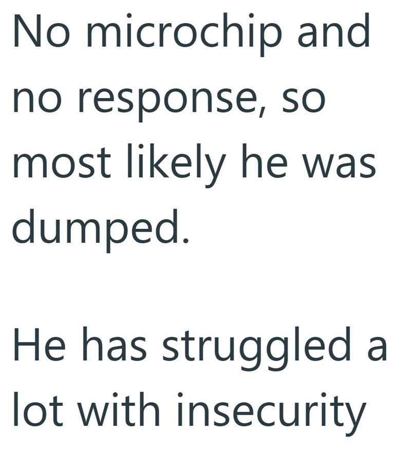 No microchip and no response, so most likely he was dumped. He has struggled a lot with insecurity