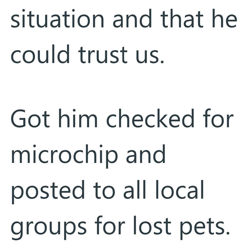 situation and that he could trust us. Got him checked for microchip and posted to all local groups for lost pets.