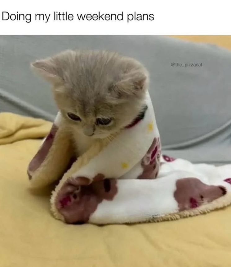 Doing my little weekend plans @the_pizzacat