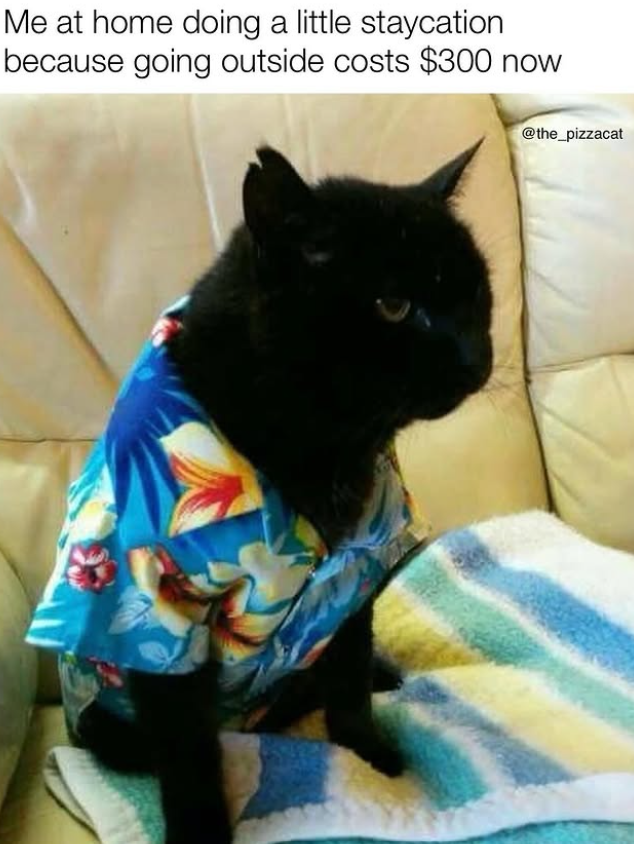 Me at home doing a little staycation because going outside costs $300 now @the_pizzacat