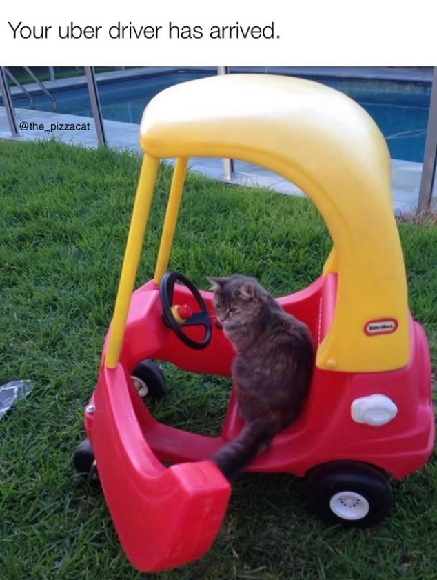 Your uber driver has arrived. @the_pizzacat