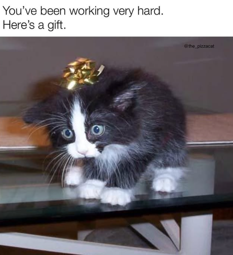 You've been working very hard. Here's a gift. @the_pizzacat