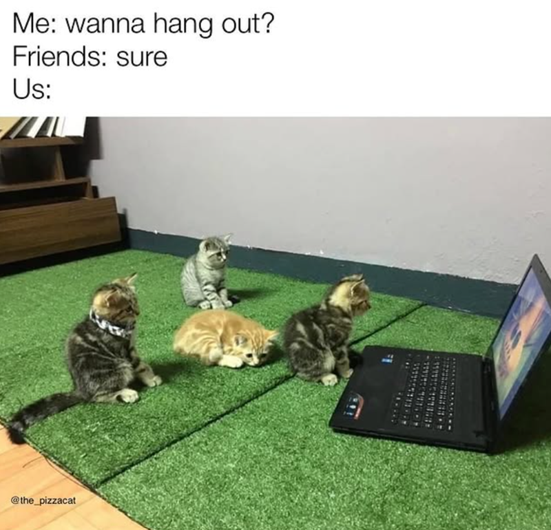 Me: wanna hang out? Friends: sure Us: @the_pizzacat FE E