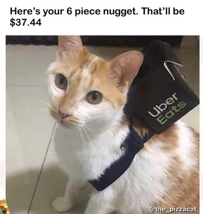Here's your 6 piece nugget. That'll be $37.44 Uber Eats @the_pizzacat