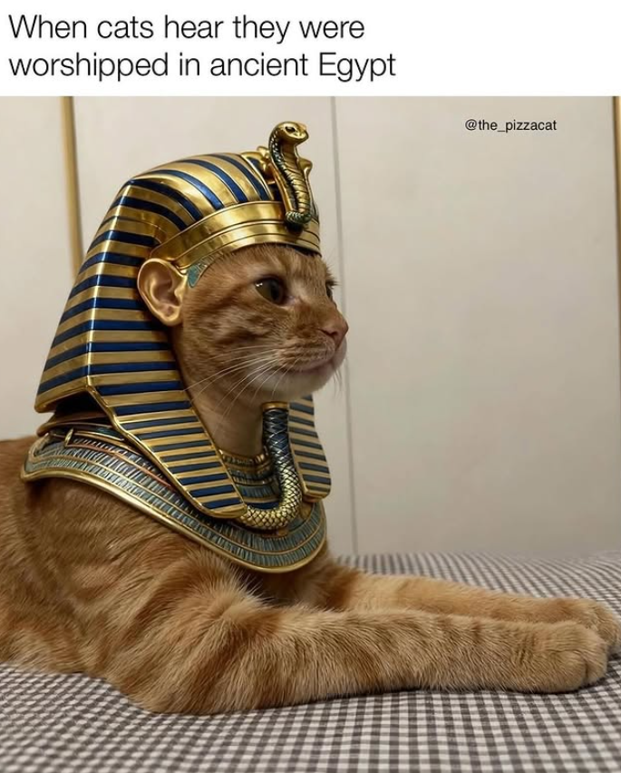 When cats hear they were worshipped in ancient Egypt @the_pizzacat