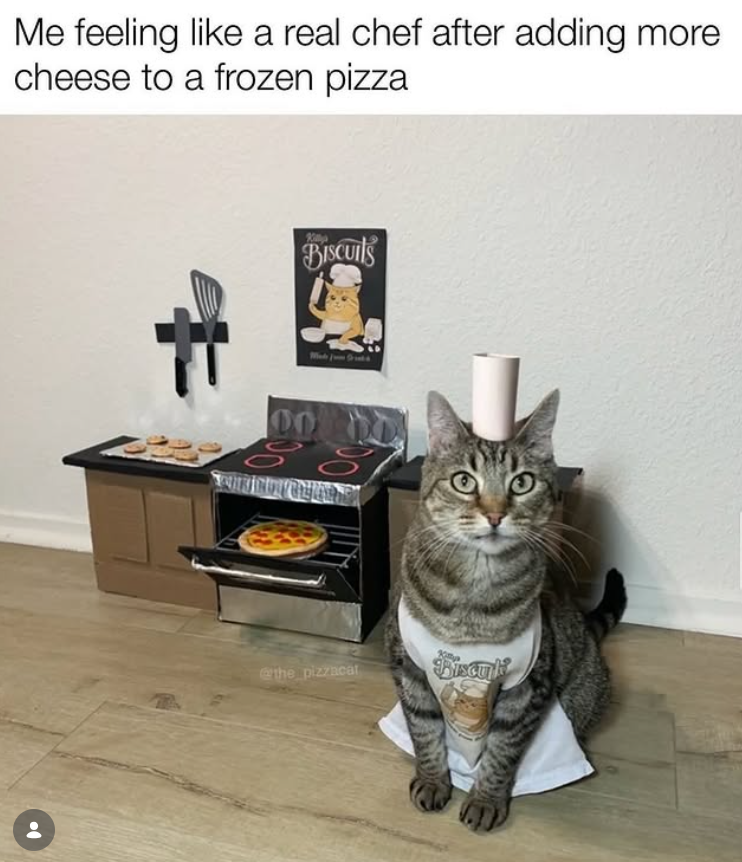 Me feeling like a real chef after adding more cheese to a frozen pizza BISCUITS 00 @the_pizzacat Biscu