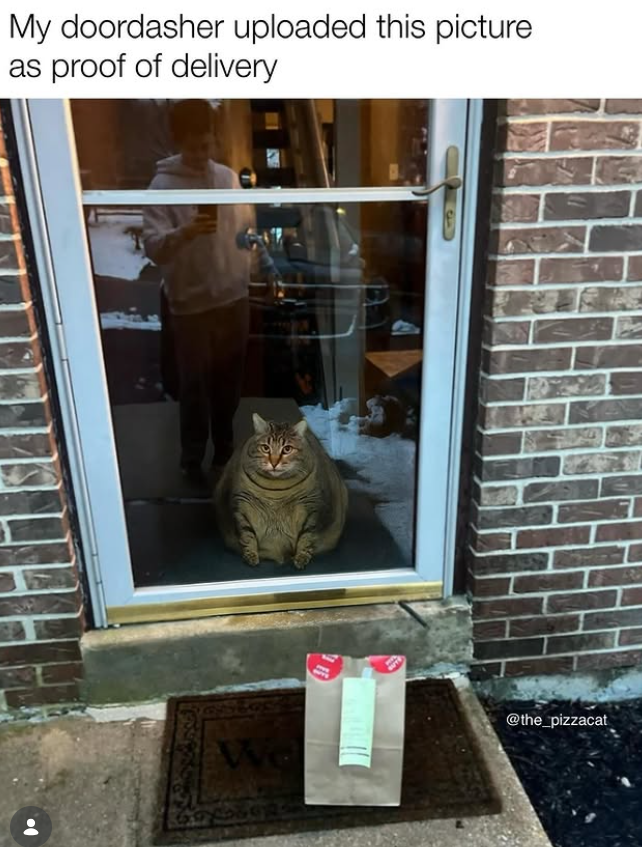 My doordasher uploaded this picture as proof of delivery @the_pizzacat We