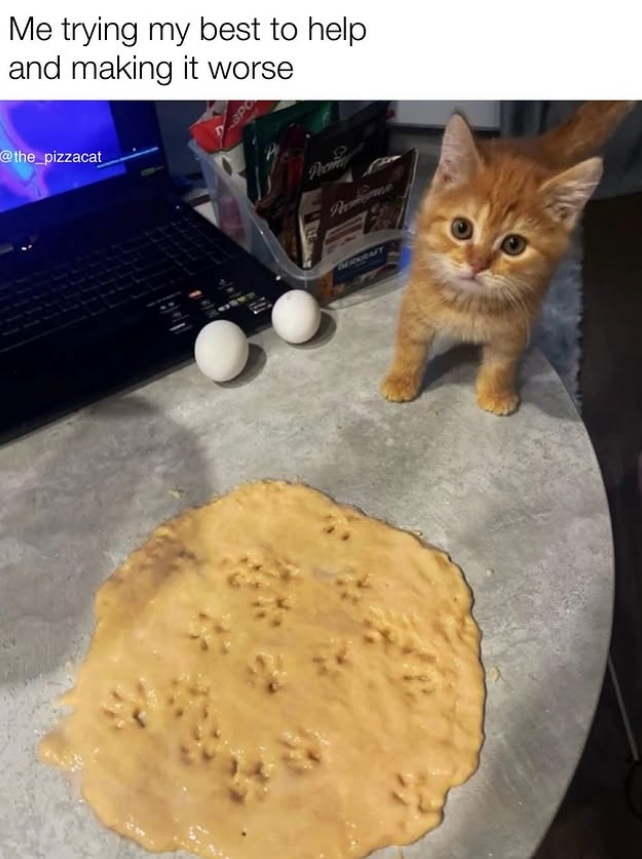 Me trying my best to help and making it worse @the_pizzacat Nome BERKRAFT