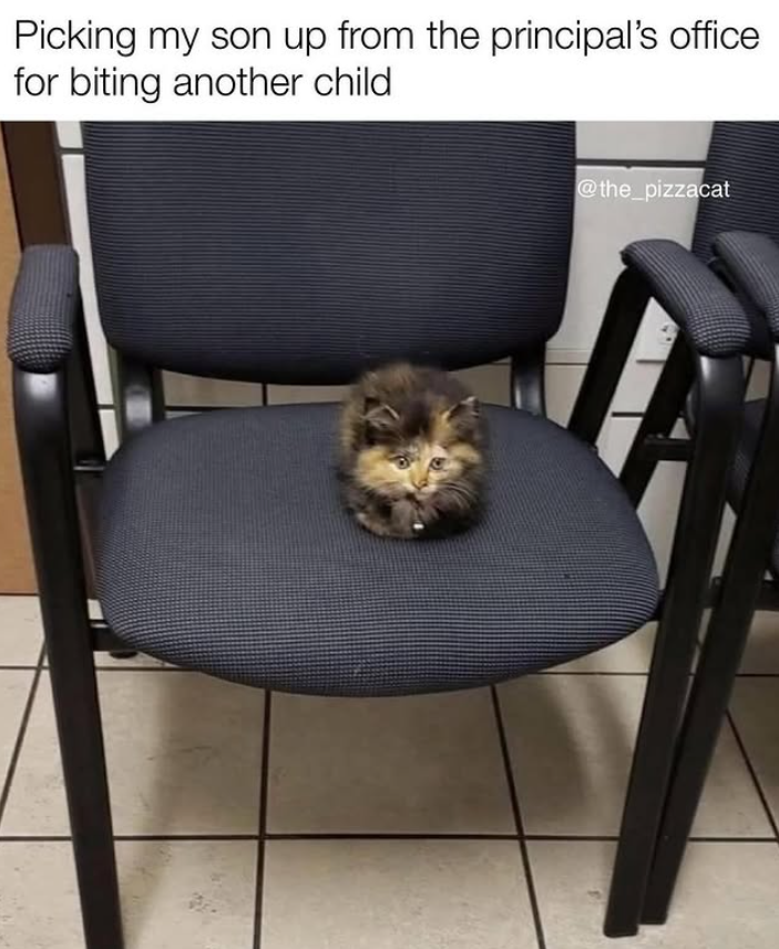 Picking my son up from the principal's office for biting another child @the_pizzacat