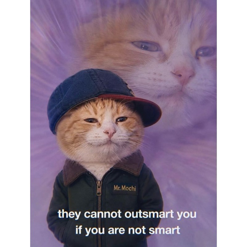 Mr. Mochi they cannot outsmart you if you are not smart