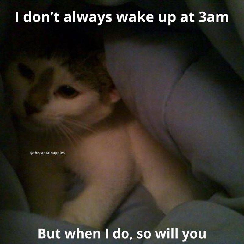 I don't always wake up at 3am @thecaptainapples But when I do, so will you