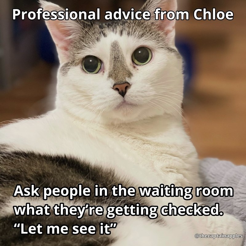 Professional advice from Chloe Ask people in the waiting room what they're getting checked. "Let me see it" @thecaptainapples