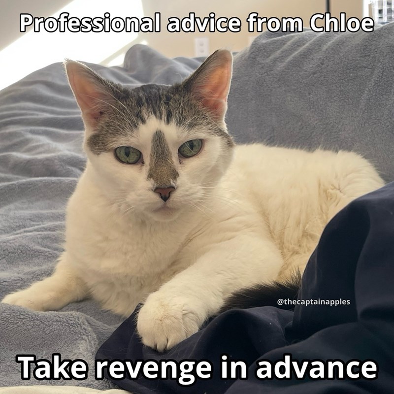 Professional advice from Chloe @thecaptainapples Take revenge in advance