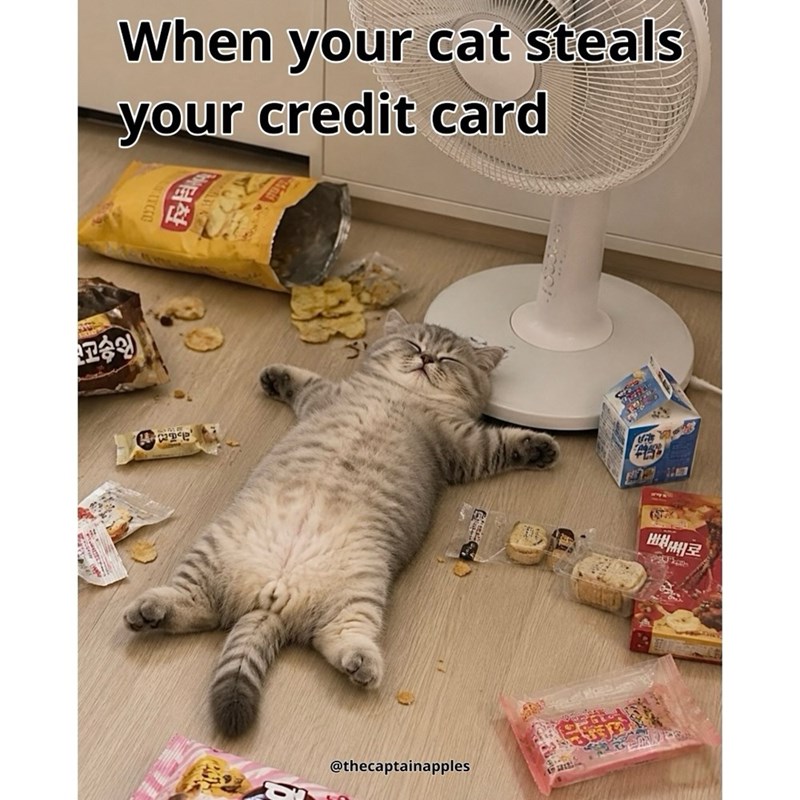 고승인 When your cat steals your credit card 21 1 Sill @thecaptainapples 빼빼로