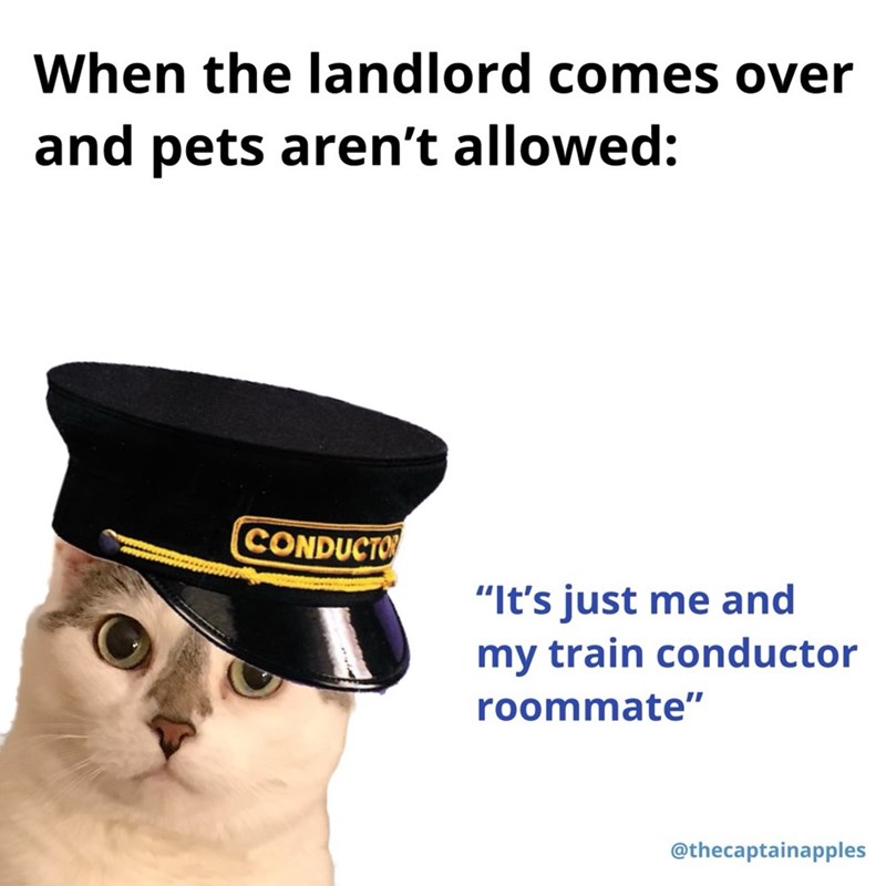 When the landlord comes over and pets aren't allowed: CONDUCTO "It's just me and my train conductor roommate" @thecaptainapples