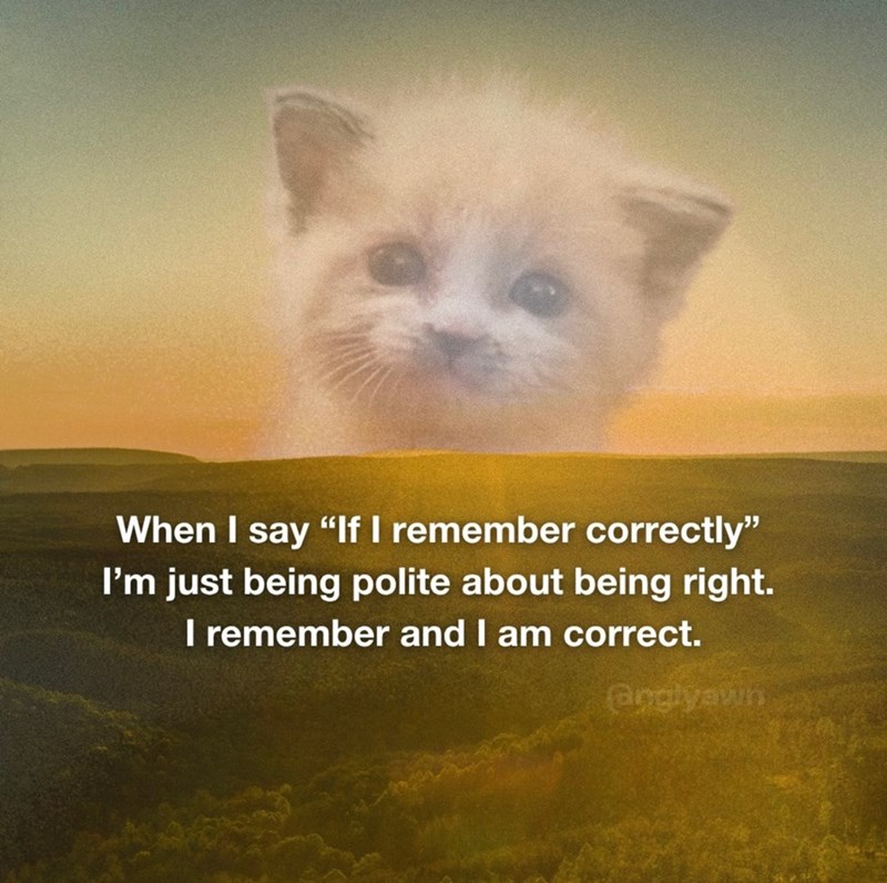 When I say "If I remember correctly" I'm just being polite about being right. I remember and I am correct. @nglyawin